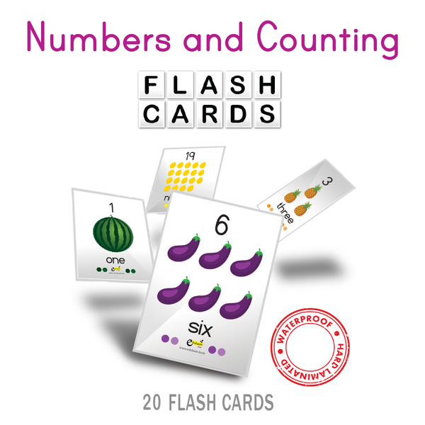 NUMBERS AND COUNTING (1 - 20) FLASH CARDS - 8008