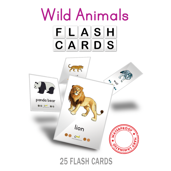 WILD ANIMALS (ANIMATED) FLASH CARDS - 8014
