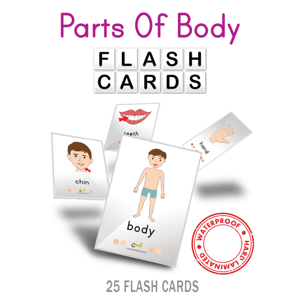 PARTS OF BODY FLASH CARDS - 8009