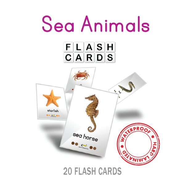 SEA ANIMALS FLASH CARDS - 8015
