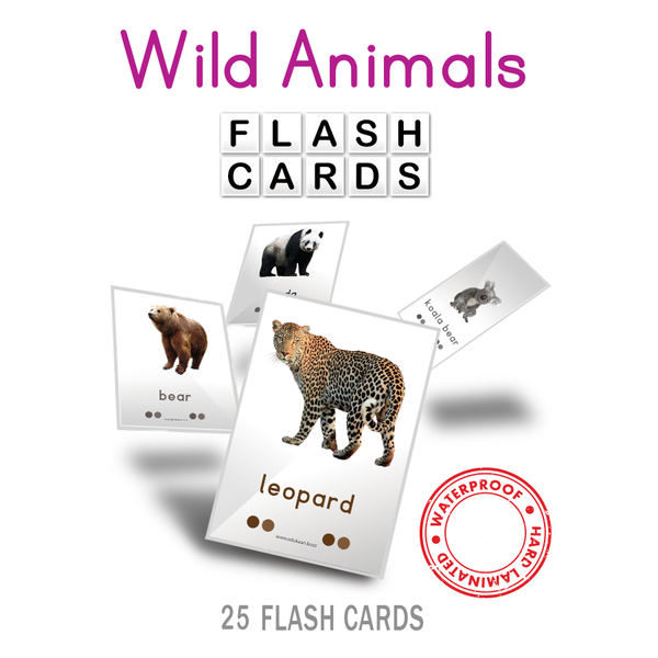 WILD ANIMALS FLASH CARDS - 8013