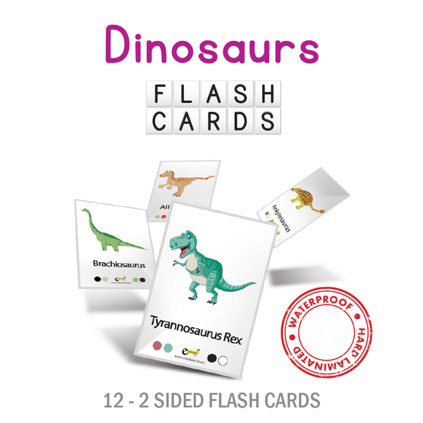 DINOSAURS FLASH CARDS - 8025